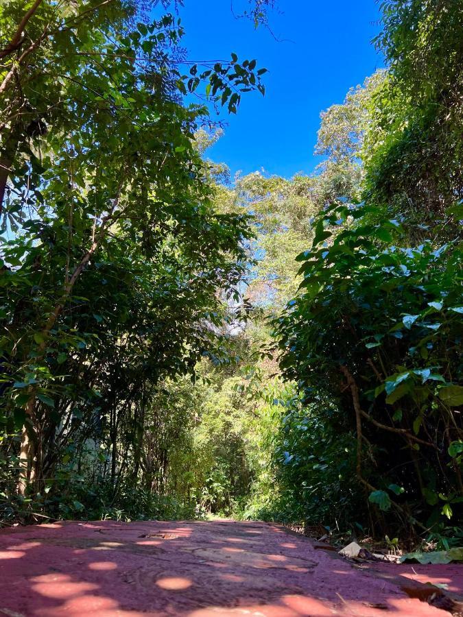 Cabañas Luces De La Selva Villa Puerto Iguazú Exterior foto